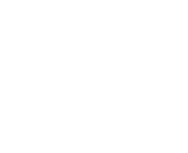 Destination Africa