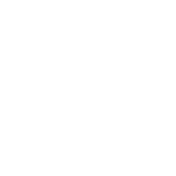 EgyptAir